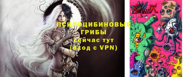 прущие грибы Белокуриха