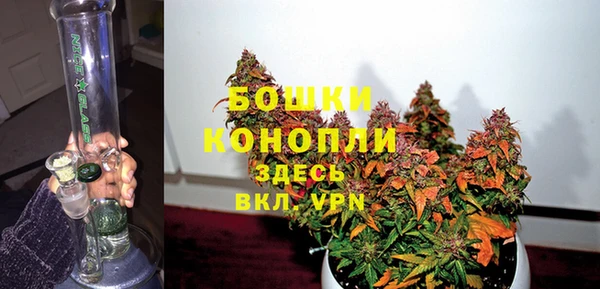 прущие грибы Белокуриха