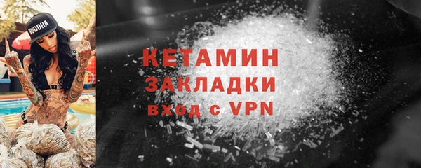 прущие грибы Белокуриха