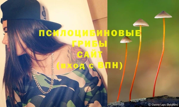 гидра Белоозёрский