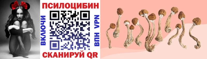Галлюциногенные грибы мицелий  где найти наркотики  Краснокаменск 